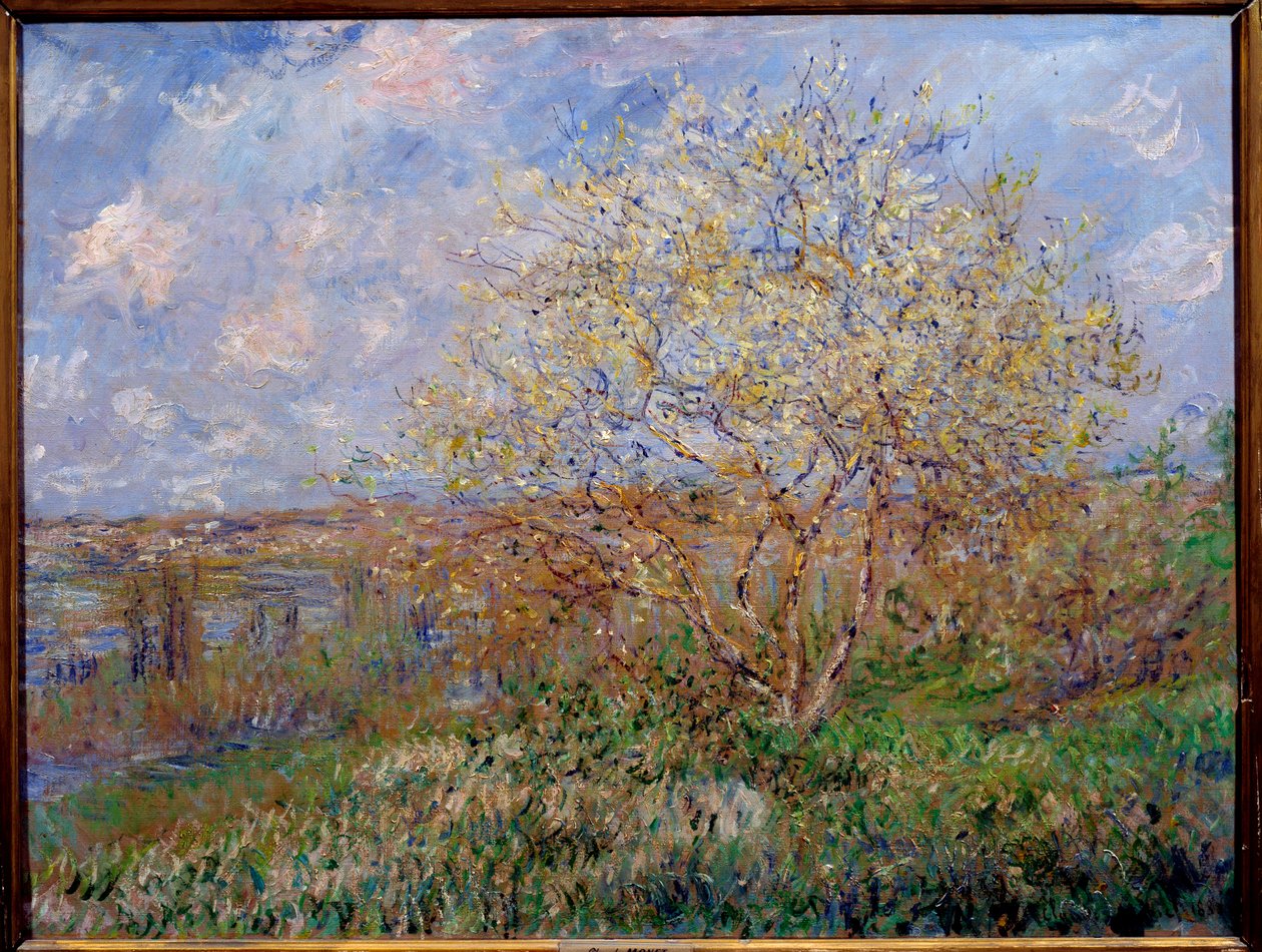 Forårsmaleri af Claude Monet (1840-1926) 1882 Dim. 0,60 x 0,79 m Lyon, Musee des Beaux Arts af Claude Monet