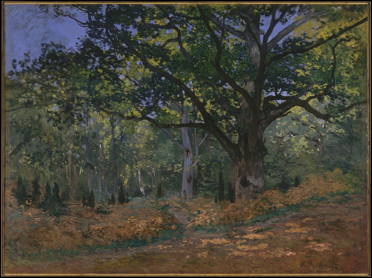 Bodmer Oak, Fontainebleau Forest, 1865 af Claude Monet