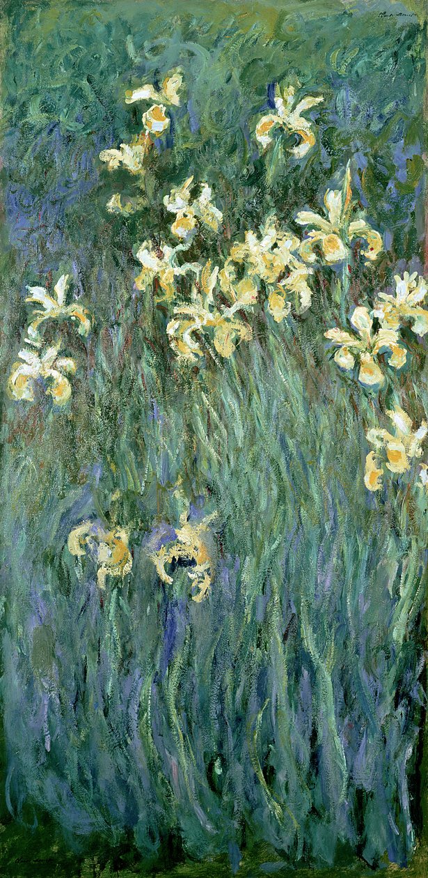De Gule Iriser af Claude Monet