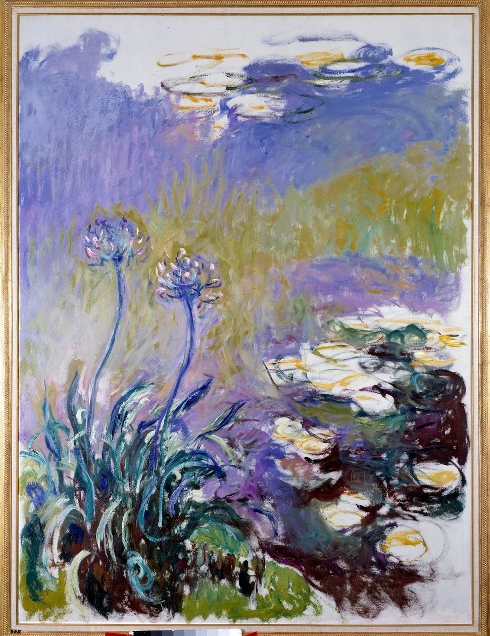 Agapanthus af Claude Monet