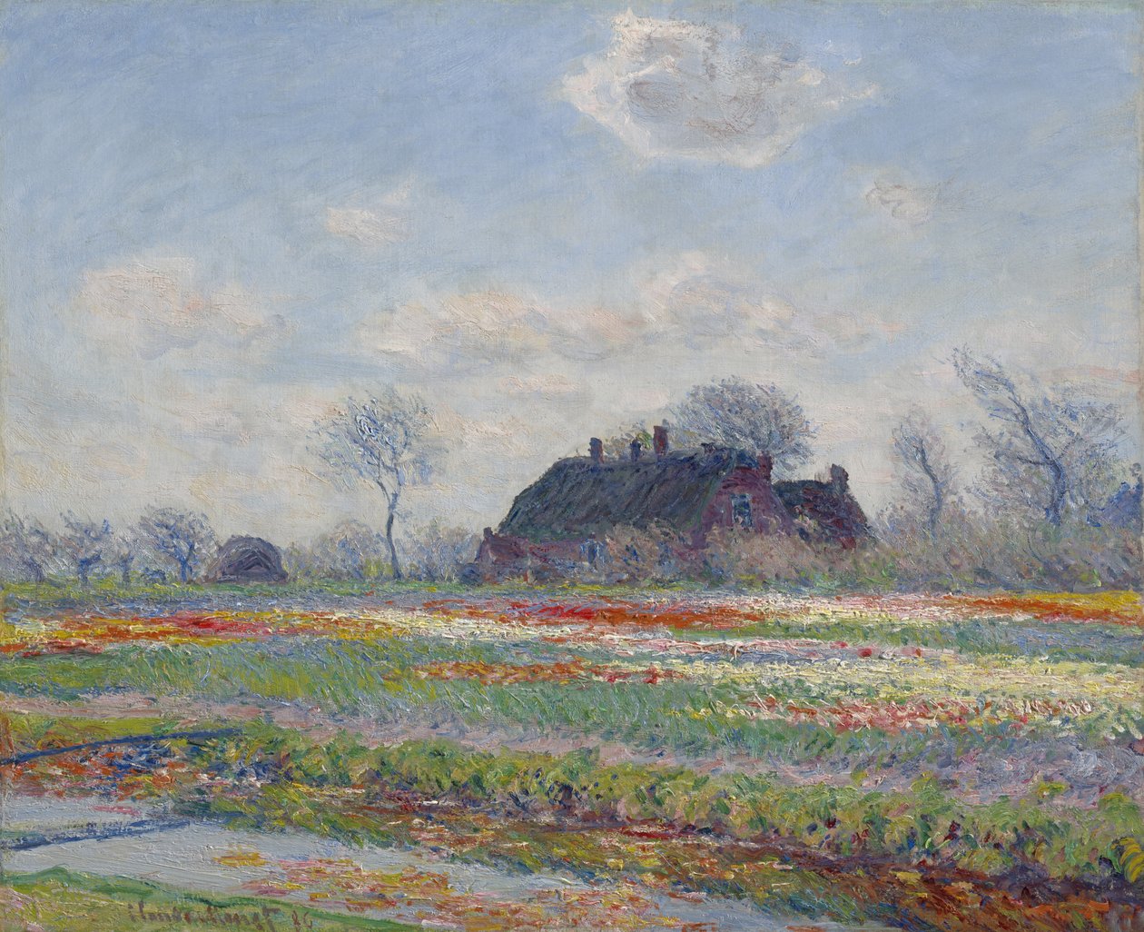 Tulipanmarker i Sassenheim, 1886 af Claude Monet