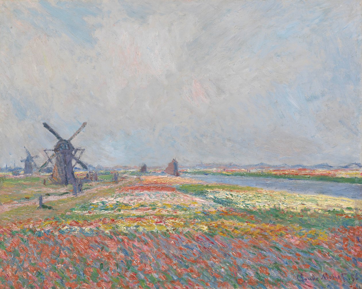 Tulip fields near The Hague.dani af Claude Monet