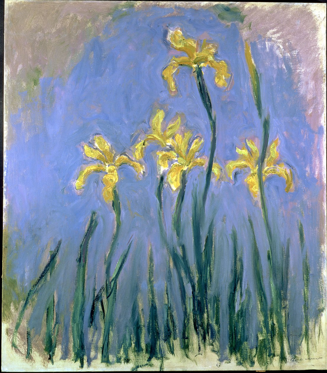 Gule Iriser; Les Iris Jaunes, ca. 1918-1925 (olie på lærred) af Claude Monet