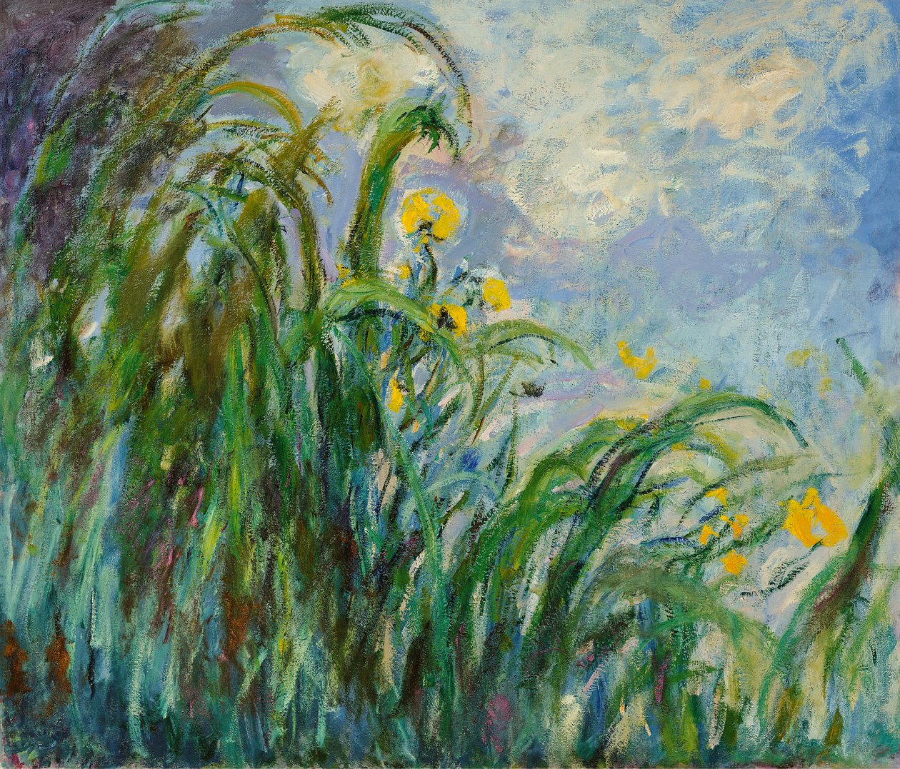 Gule iris, ca. 1925. af Claude Monet