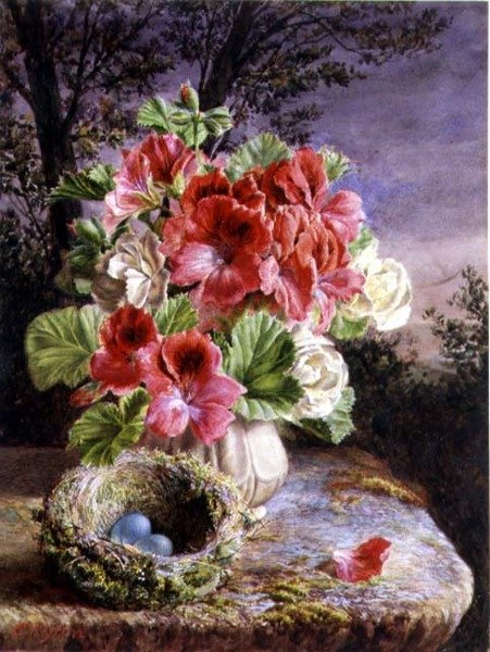Gloxinia og Fuglerede af Claude Ryan