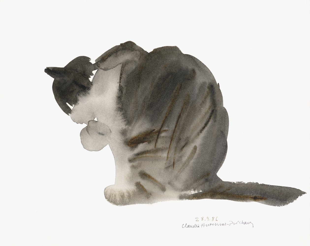 Kat, 1985 (akvarel) af Claudia Hutchins Puechavy