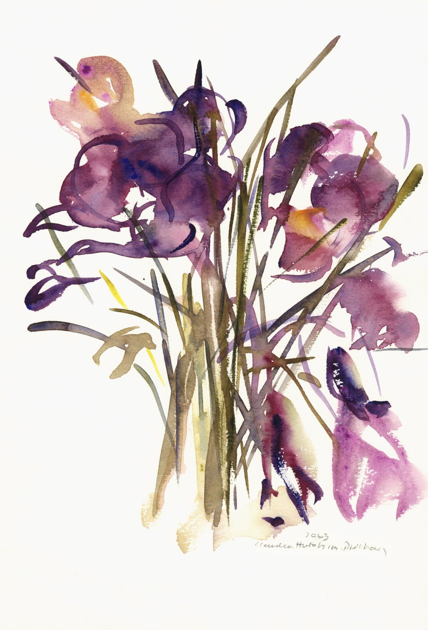 Krokus, 2003 (akvarel) af Claudia Hutchins Puechavy