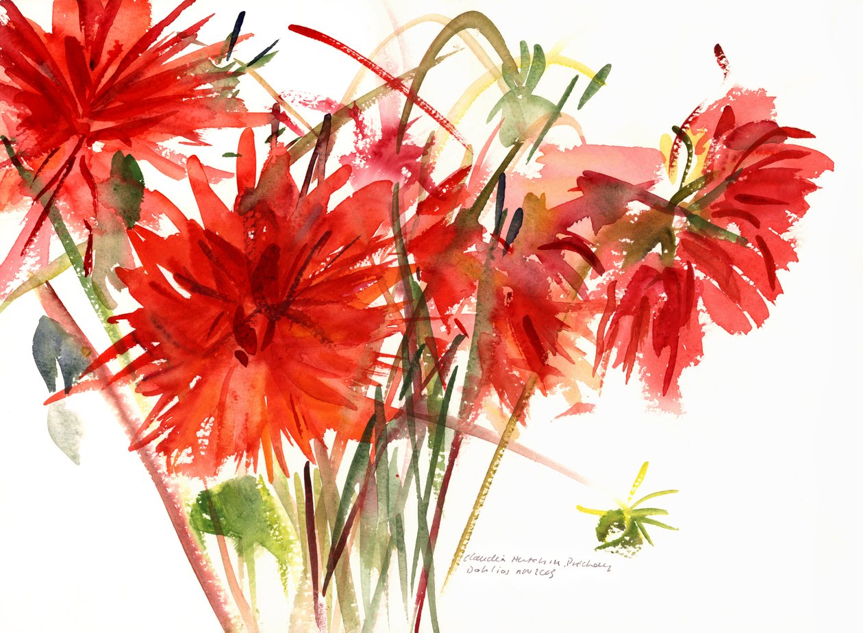 Dahliaer, 2002 (akvarel) af Claudia Hutchins Puechavy