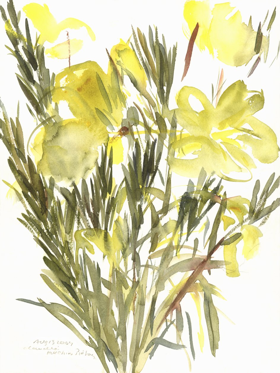 Nattelys; 2004 (akvarel) af Claudia Hutchins Puechavy