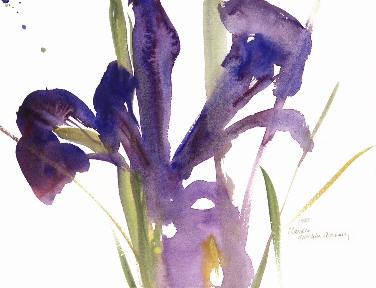 Iris, 1987 af Claudia Hutchins Puechavy