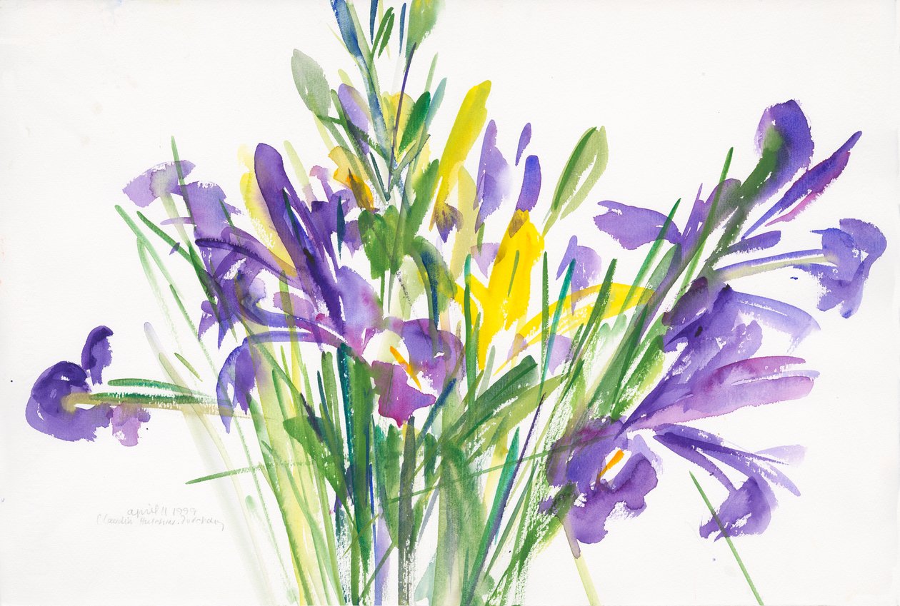 Iriser, 1999, (akvarel på papir) af Claudia Hutchins Puechavy