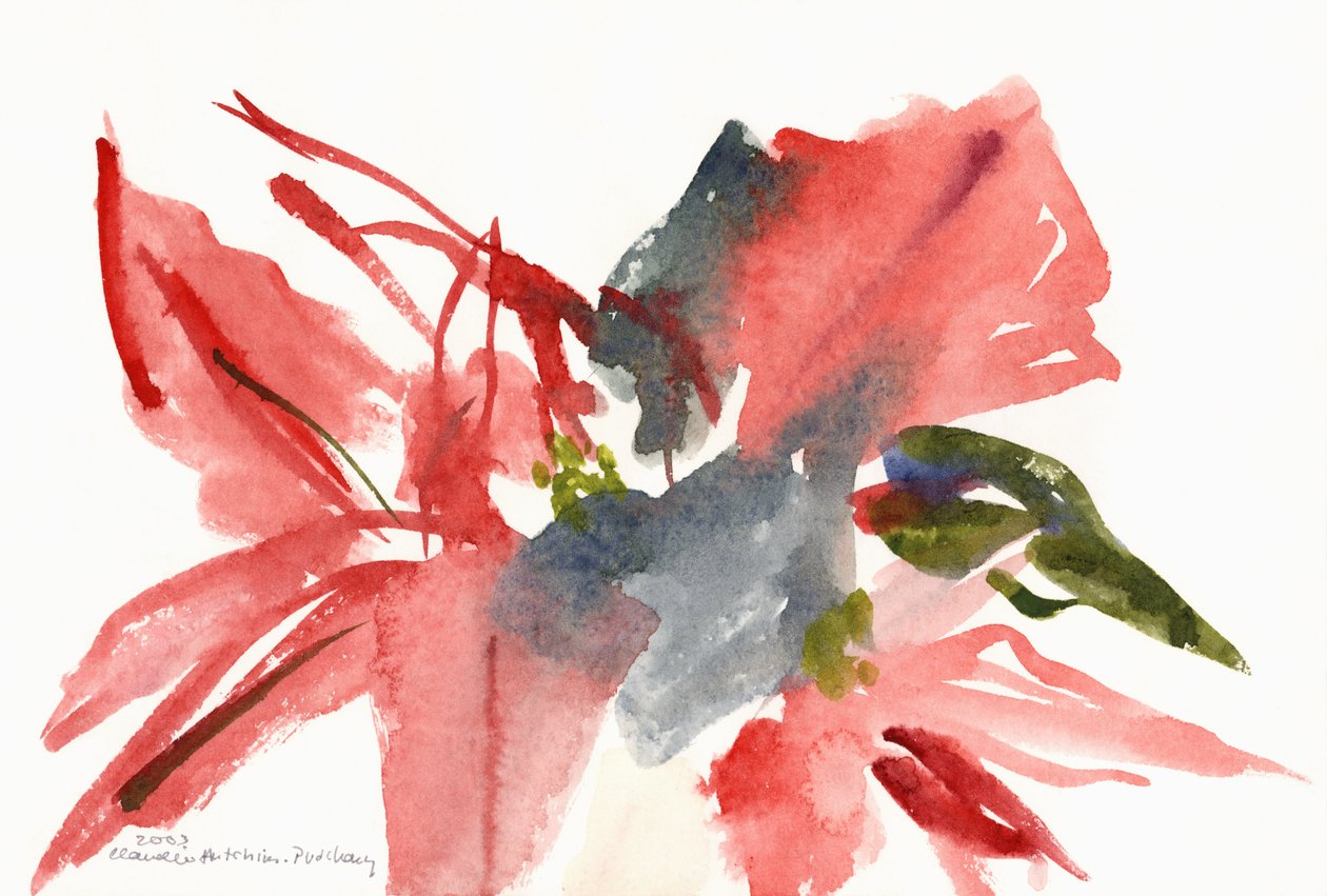 Julestjerne, 2003 af Claudia Hutchins Puechavy