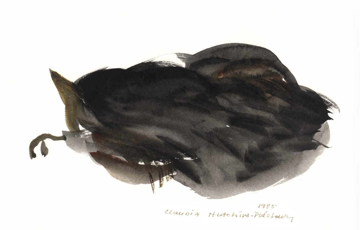 Sleeping Cat, 1985 (akvarel) af Claudia Hutchins Puechavy