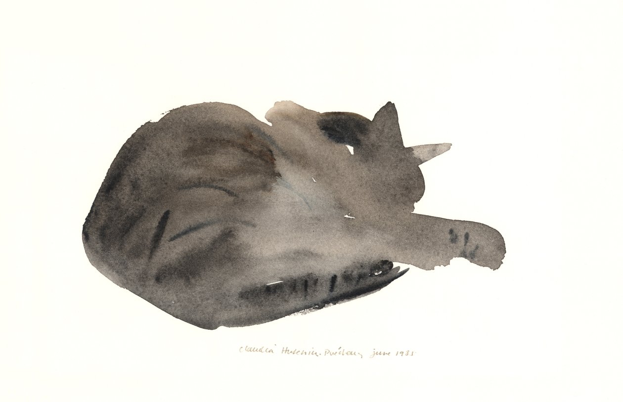 Sovende kat, 1985 (akvarel) af Claudia Hutchins Puechavy