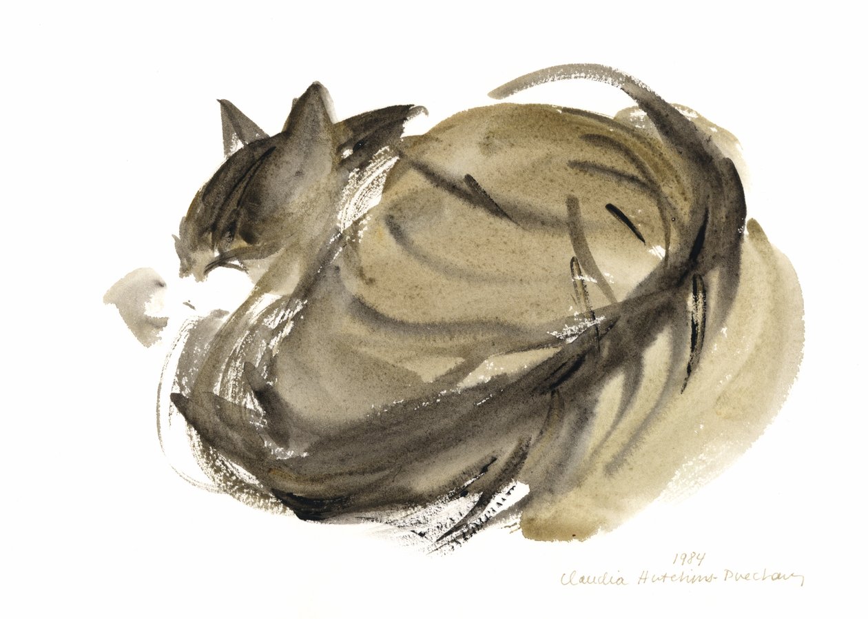 Sovende kat, 1985 (akvarel) af Claudia Hutchins Puechavy