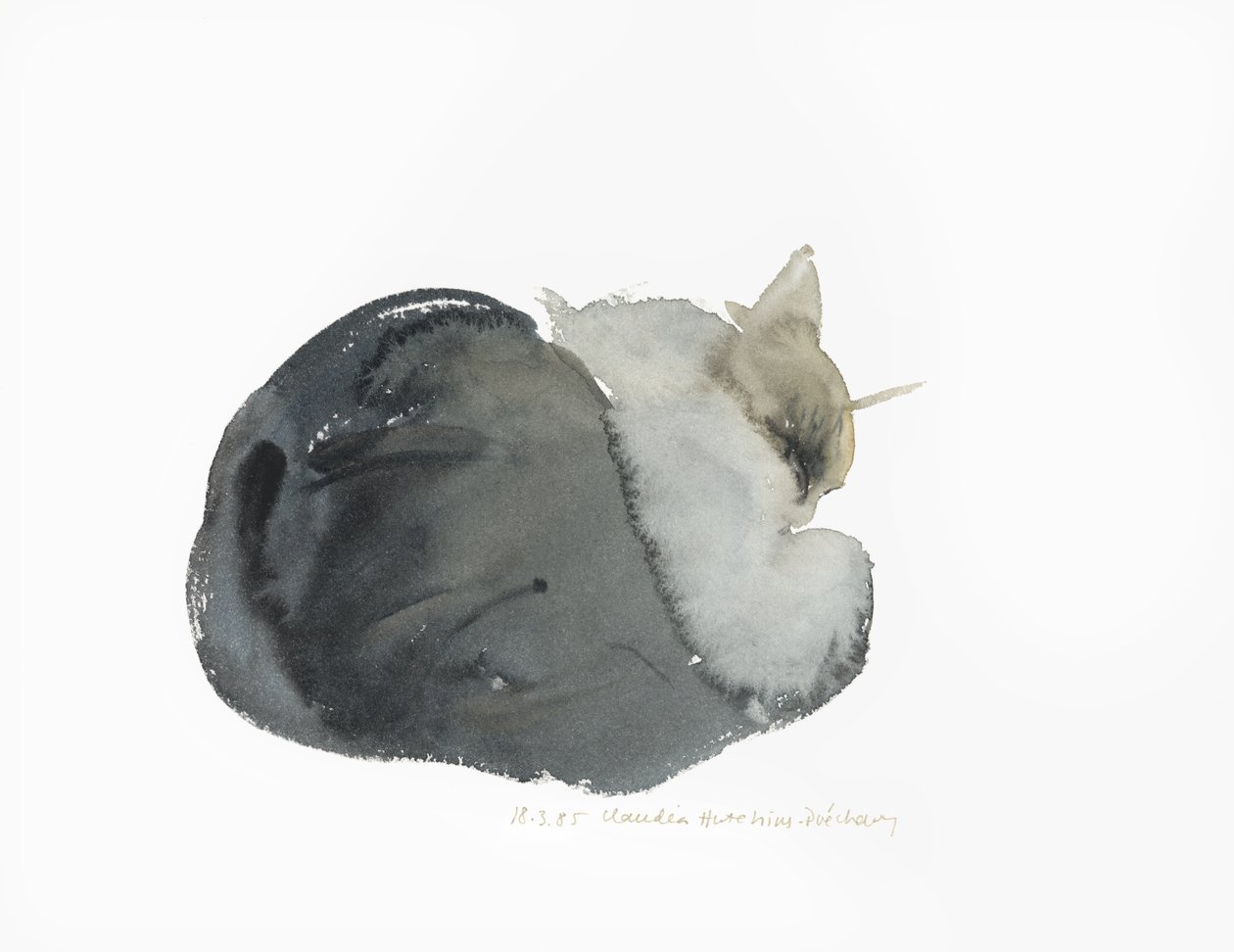 Sovende kat, 1985 (akvarel) af Claudia Hutchins Puechavy