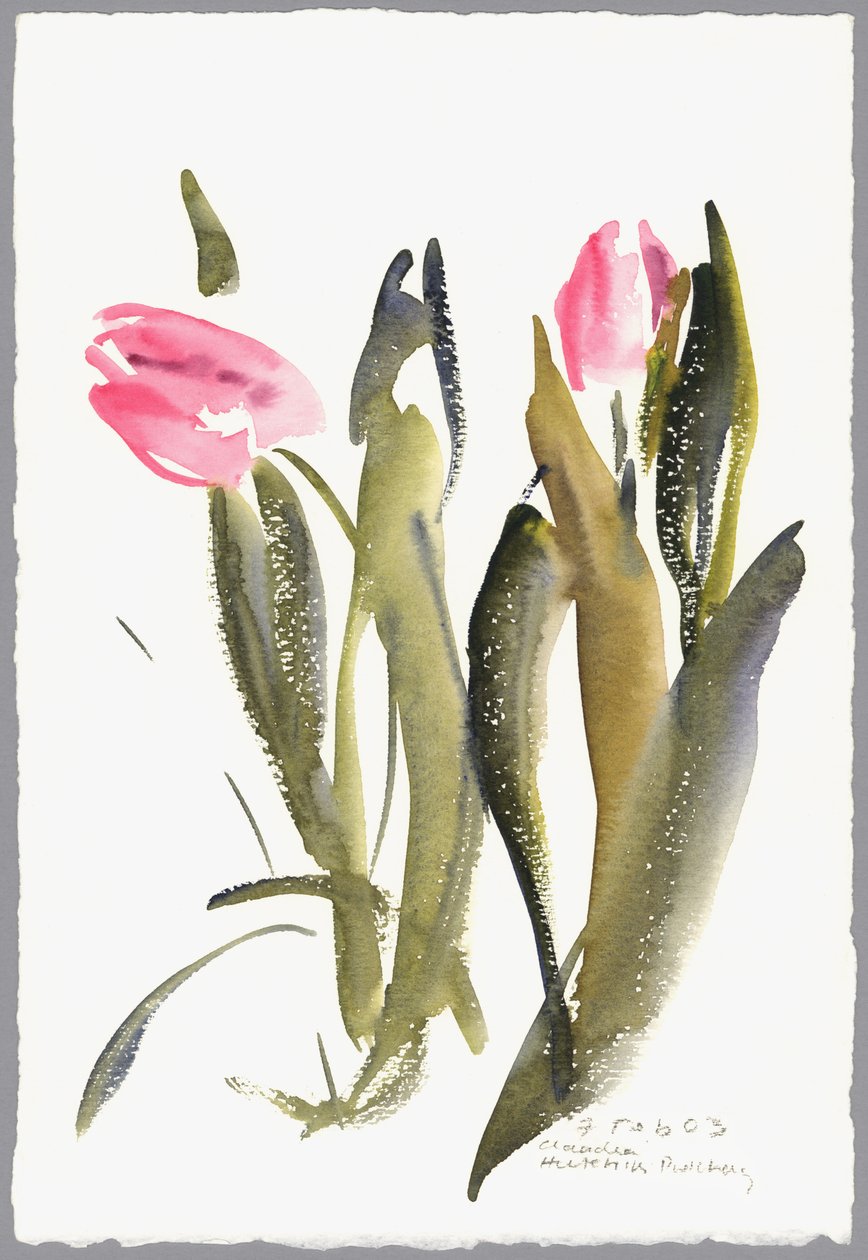Tulipaner, 2003 (akvarel) af Claudia Hutchins Puechavy