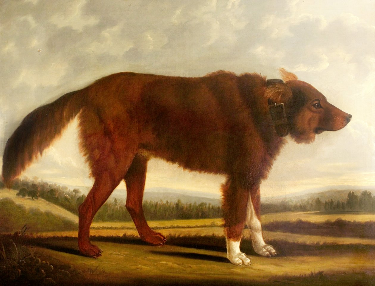 Lord Byrons Dog Lyon (Ulvehunden), 1808 af Clifton Tomson