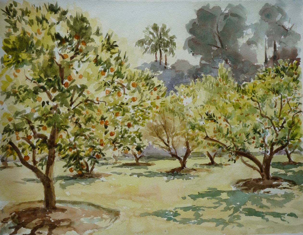 Mamounia, appelsinlunde, 2000 (akvarel) af Clive Wilson