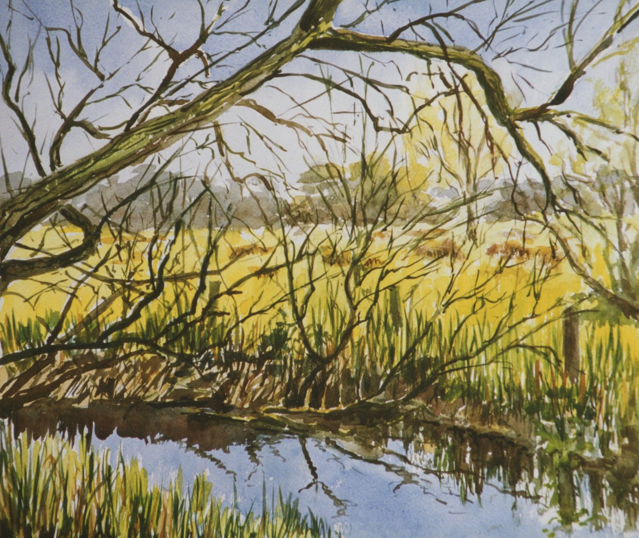 Water Meadows, Kintbury, tidlig eftermiddag i maj af Clive Wilson
