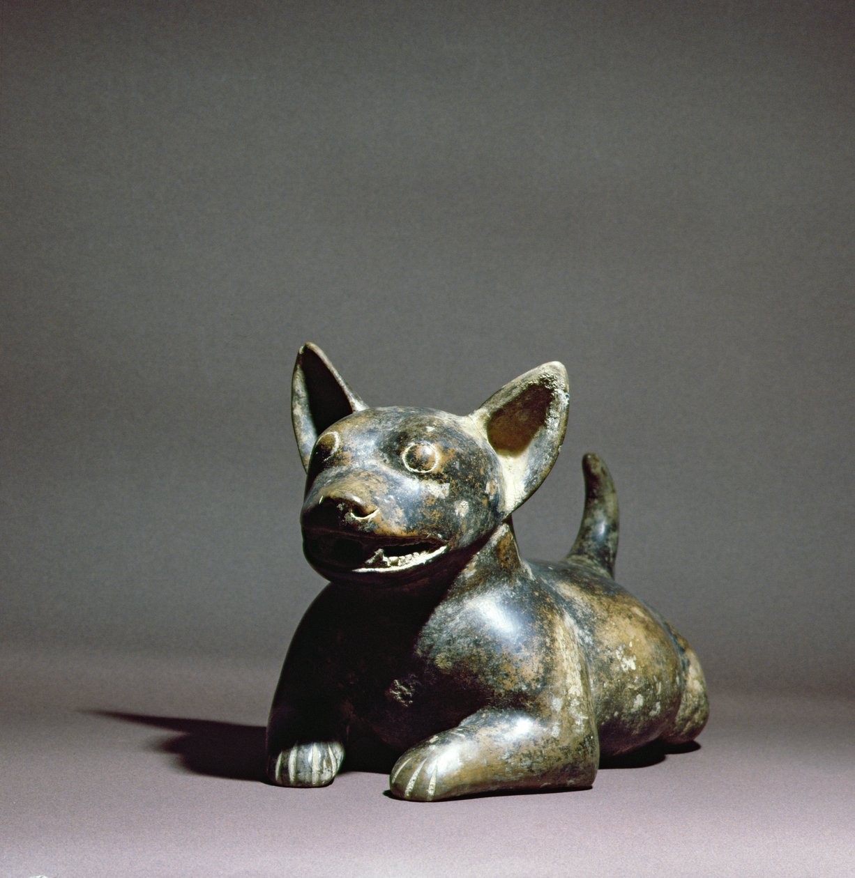 Colima halvt liggende hund, 300 f.Kr. - 500 f.Kr. (keramik) af Colima Culture
