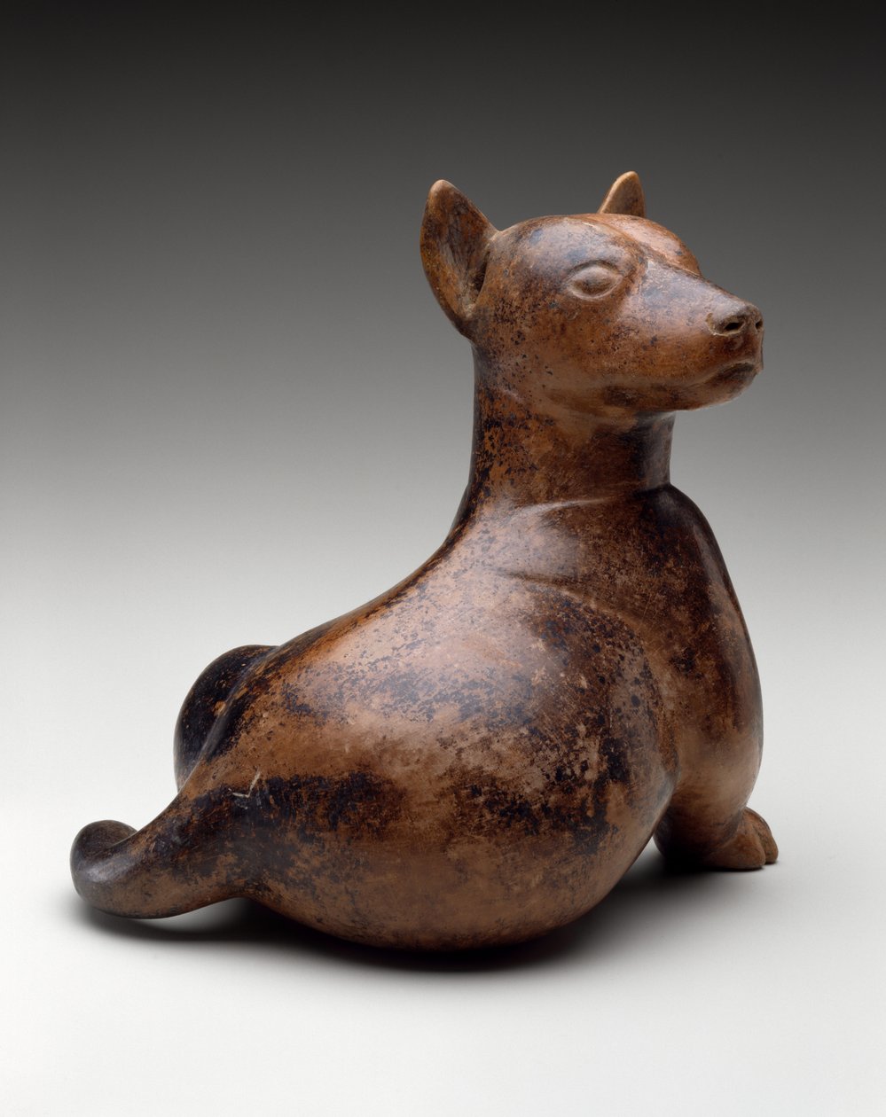 Halvsiddende hund, Mexico, Proto-Classic, 100 BC-AD 300 (lertøj) af Colima Culture