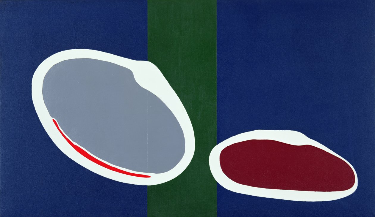 Go Discs II, 1999 (akryl på lærred) (par 135005) af Colin Booth