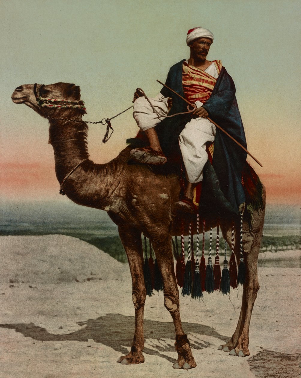 En beduin, Cairo, Egypten af Company Photoglob