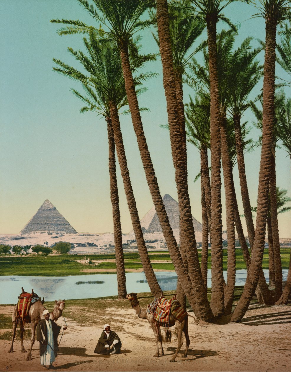 Palmer, beduiner og pyramider, Cairo, Egypten af Company Photoglob