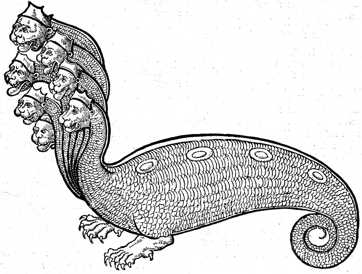 Monster Hydra af Conrad (after) Gesner