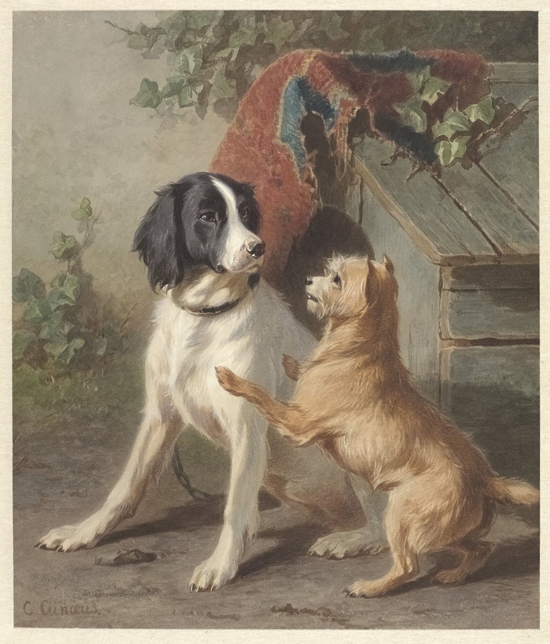 To hunde i en kennel af Conradijn Cunaeus
