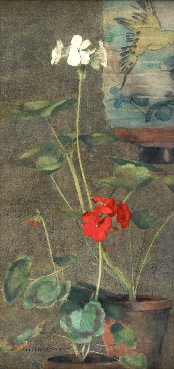 Pelargonier og japansk lanterne (akvarel på papir) af Constance Walton