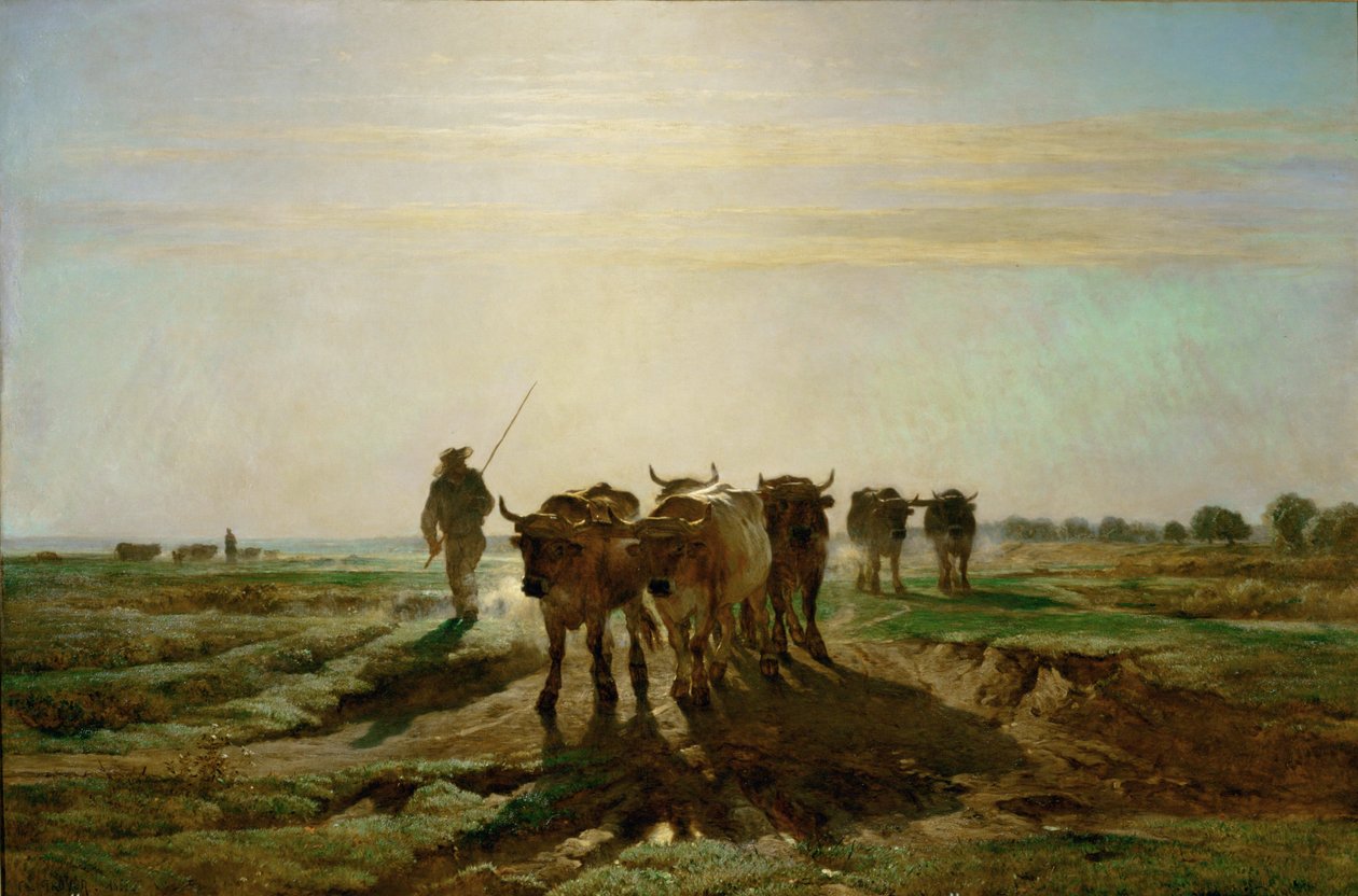 Boeufs se rendant au travail - kvæg på vej til arbejde, morgen. 1855 ... af Constant Emile Troyon
