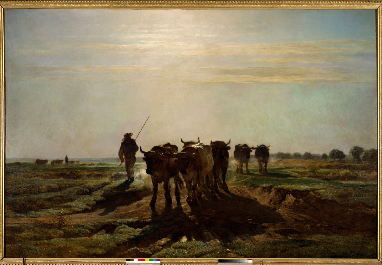 Okserne går til pløjning, morgeneffekt Maleri af Constant Troyon (1810-1865) 1855 Søn. 2,6x4 m Paris, Musee d