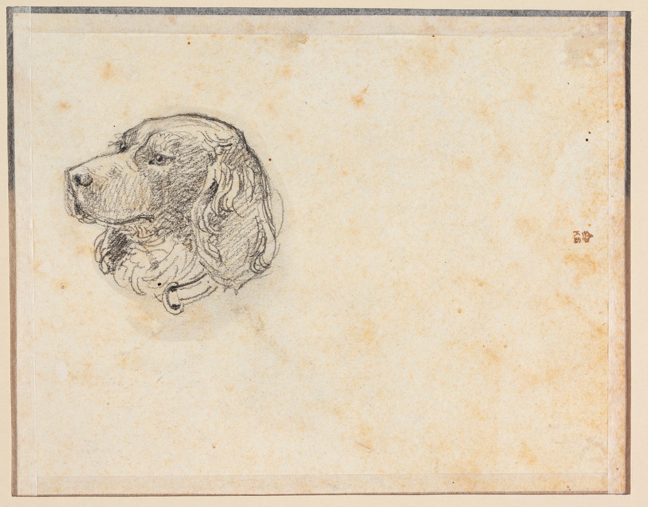 Et hundehoved af Constantin Hansen