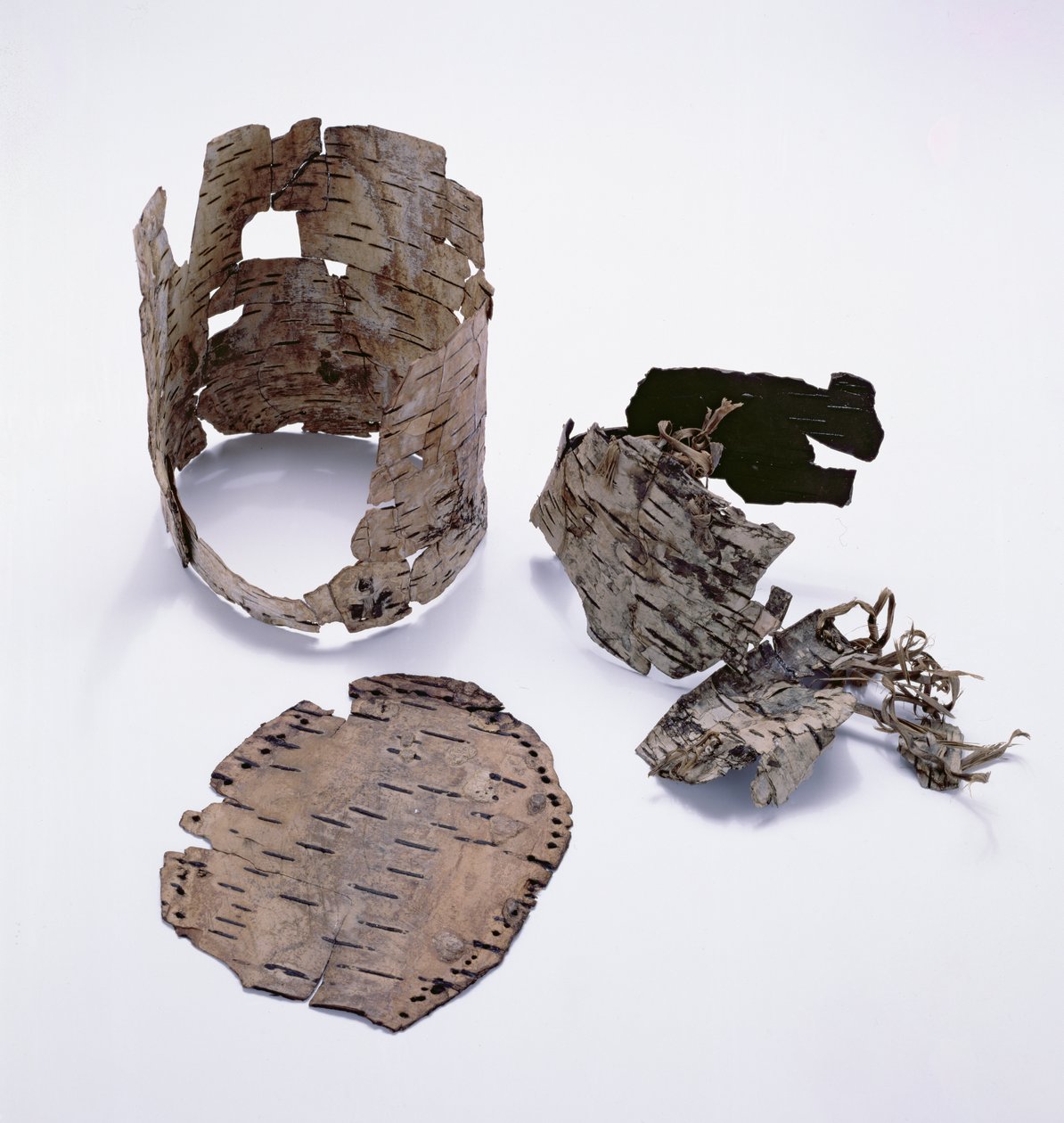 Birkebark container fundet med Oetzi Iceman (birk) af Copper Age