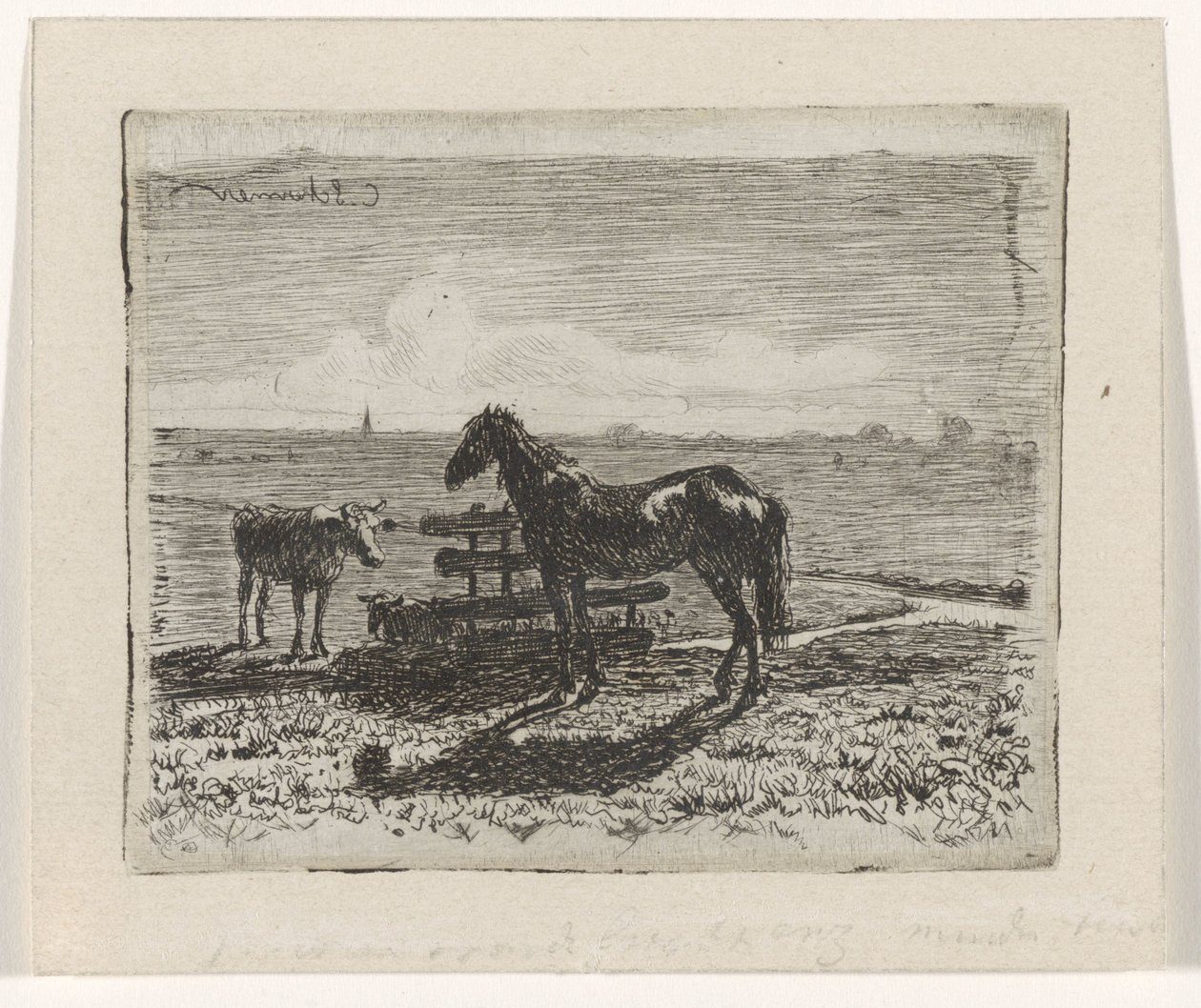 Græsgang med en hest og to køer af Cornelis Albertus Johannes Schermer