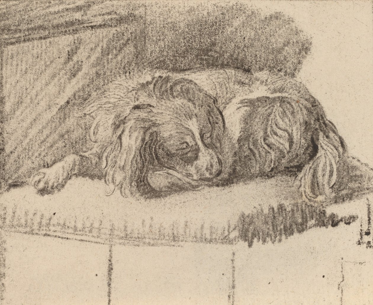 Liggende hund, 1777. af Cornelis Brouwer