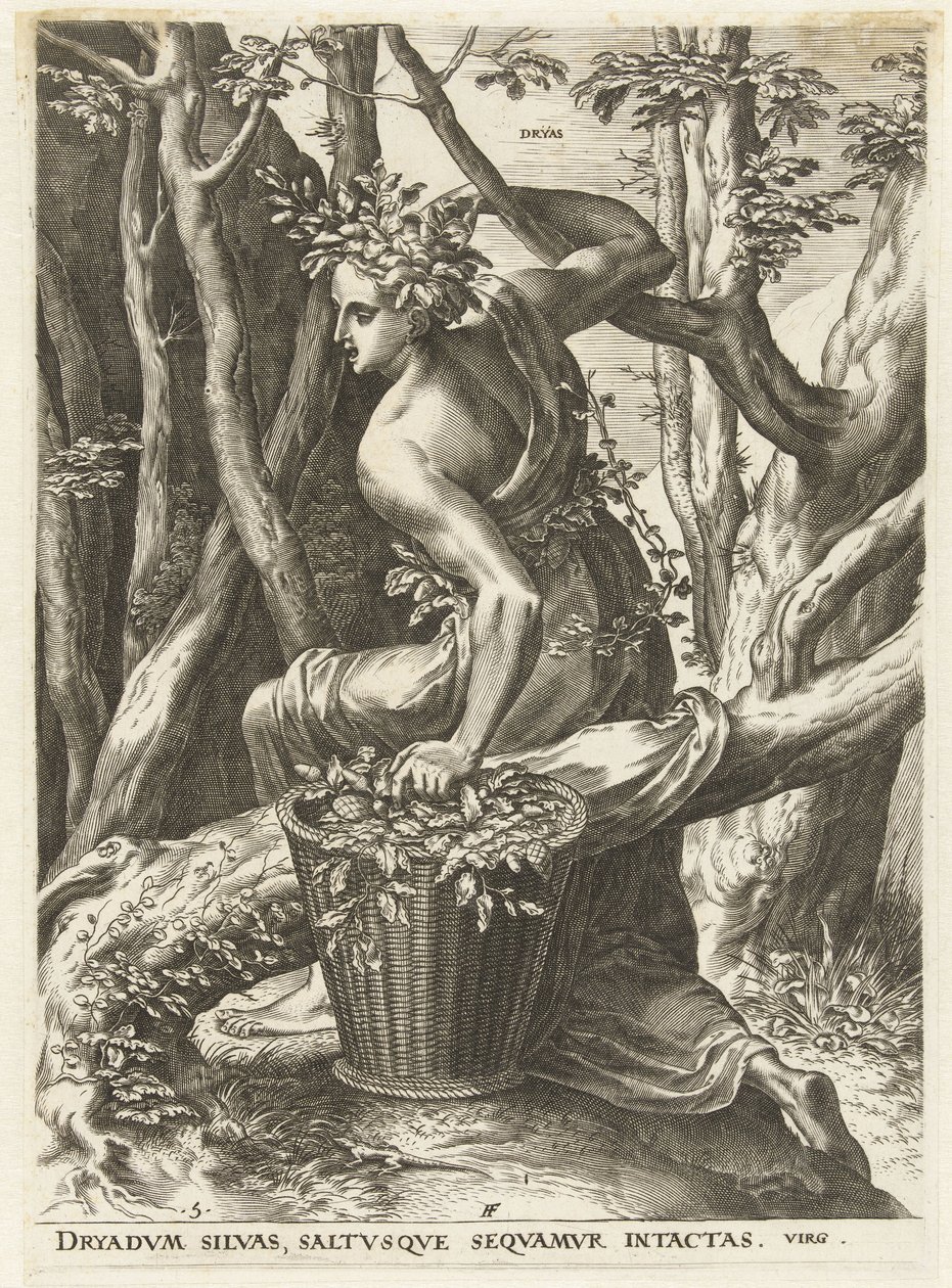 Dryas (titel på objekt) Gudinder og nymfer (serietitel) af Cornelis Cort