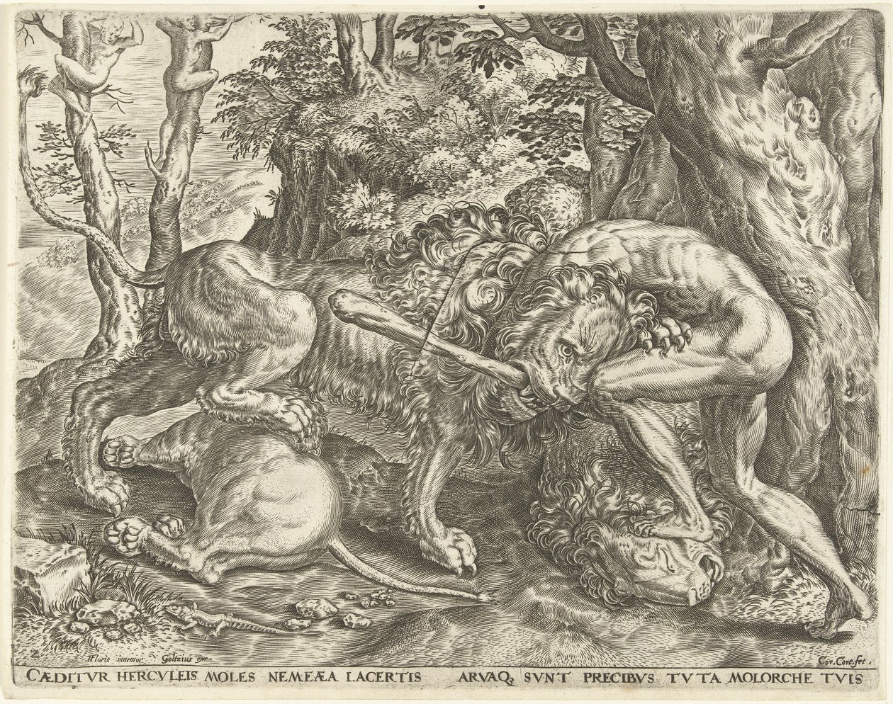Hercules kvæler Nemean-løven Labours of Hercules (serietitel) af Cornelis Cort