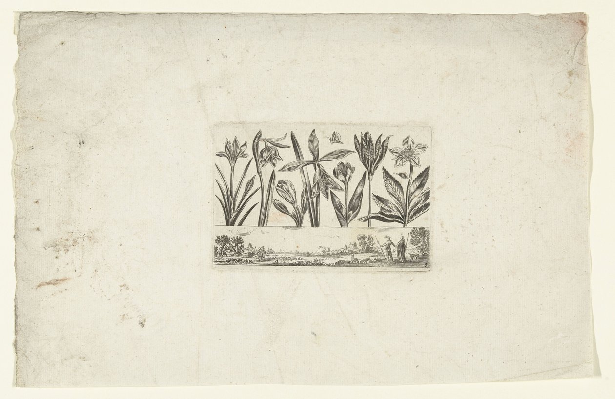 Række af blomster over landskab Blomster og landskaber (serietitel) af Cornelis Danckerts (I)
