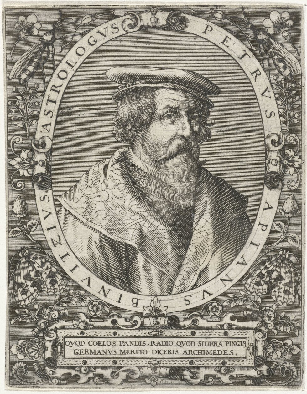 Portræt af Peter Apianus Petrus Apianus Binuitzius (titel på objekt) af Cornelis Galle (I)