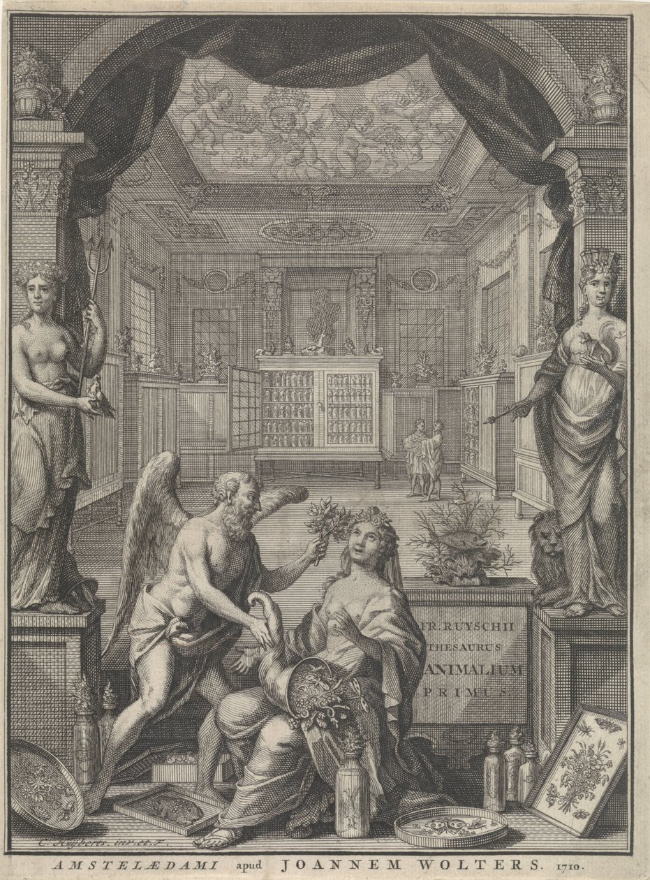 Allegori af naturen af Cornelis Huyberts