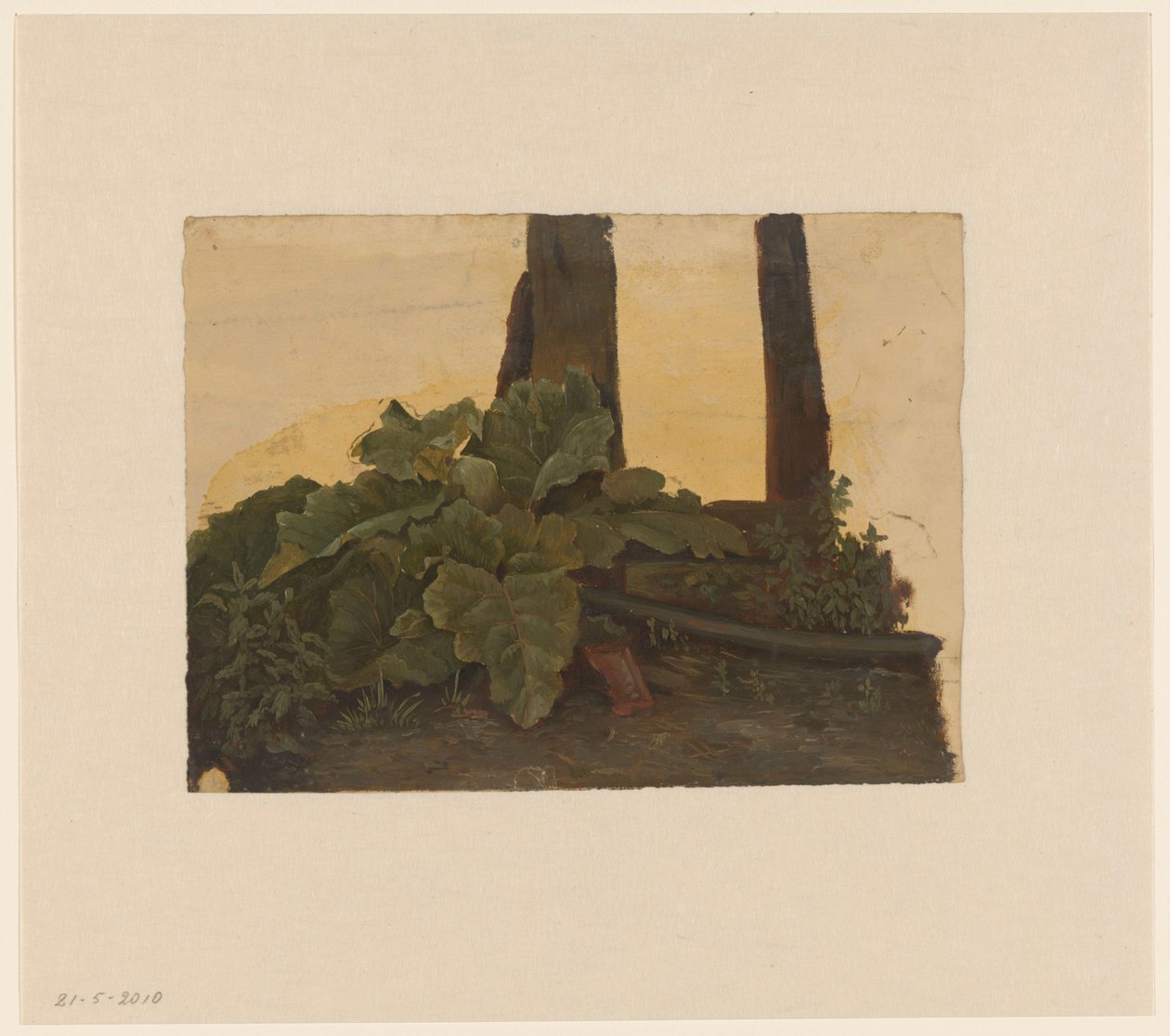Planter ved foden af ​​en træstamme af Cornelis Johannes de Vogel