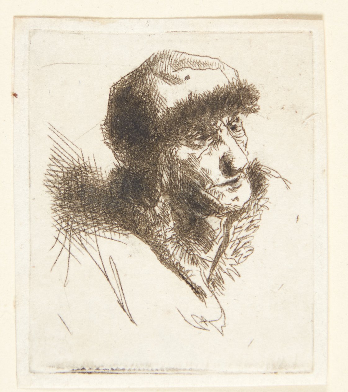 Gammel kvinde med pelshue af Cornelis Pietersz Bega