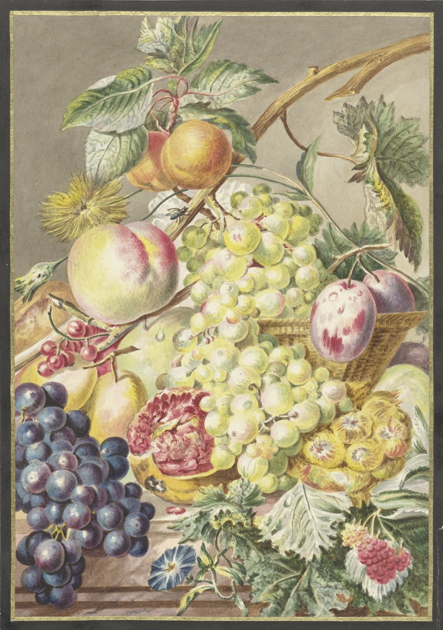 stykke frugt af Cornelis Ploos van Amstel