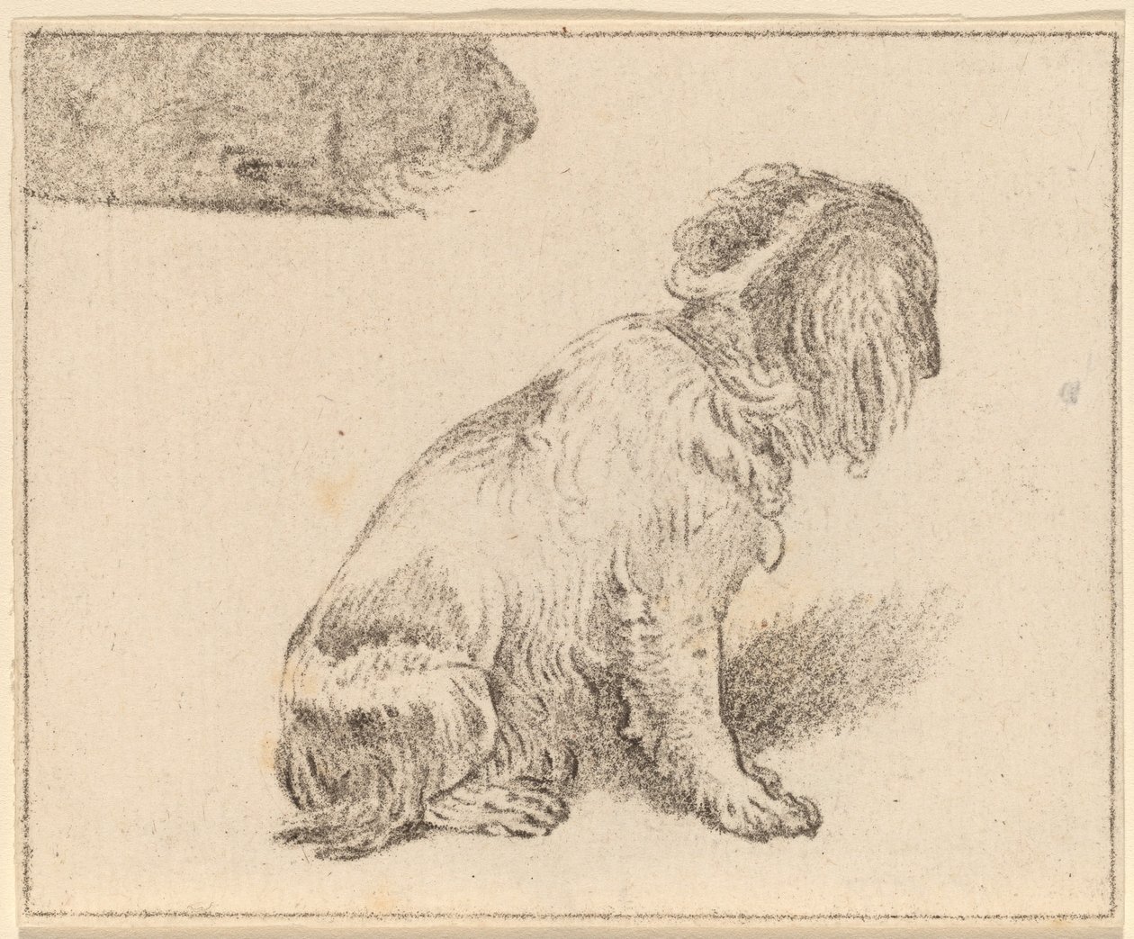 Siddende hund af Cornelis Ploos van Amstel