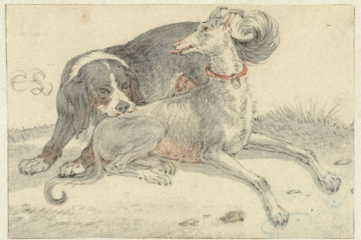 Greyhound og en agerhønehund af Cornelis Saftleven