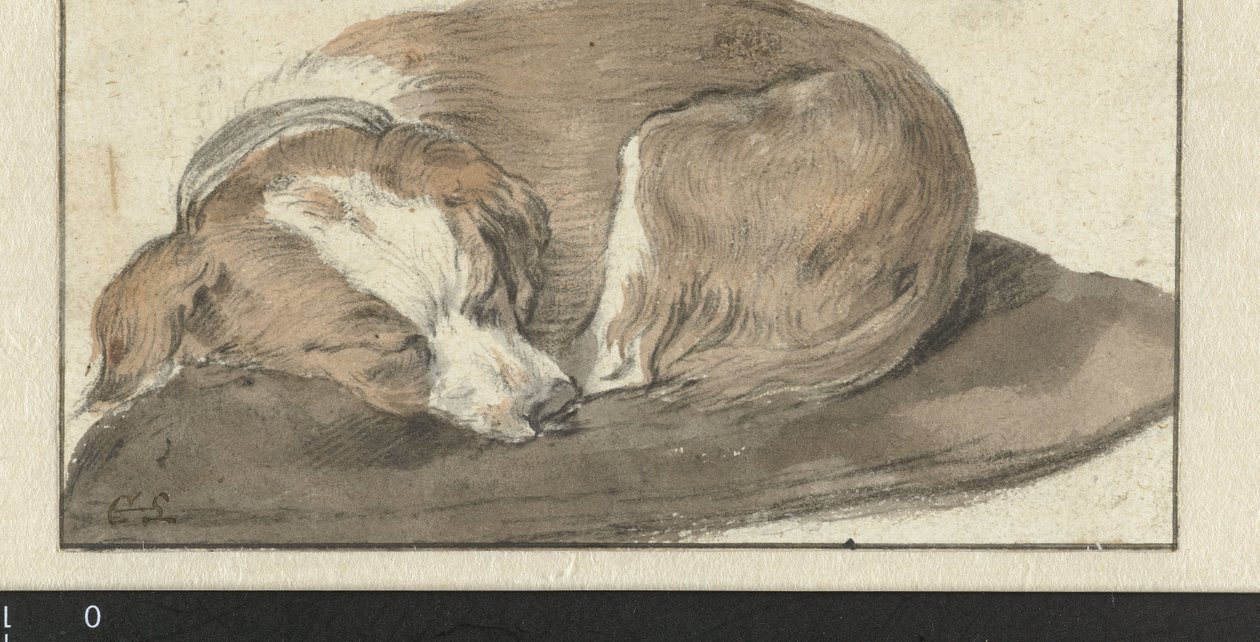 Sovende Hund af Cornelis Saftleven
