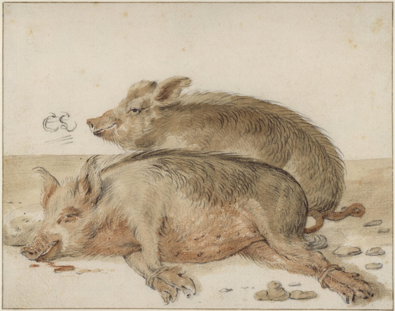 To svin af Cornelis Saftleven